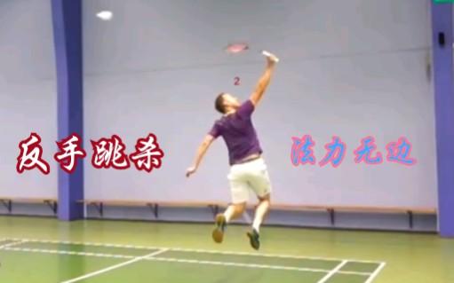 日本羽毛球队翻盘泰国羽毛球队，陶菲克关键制胜的简单介绍